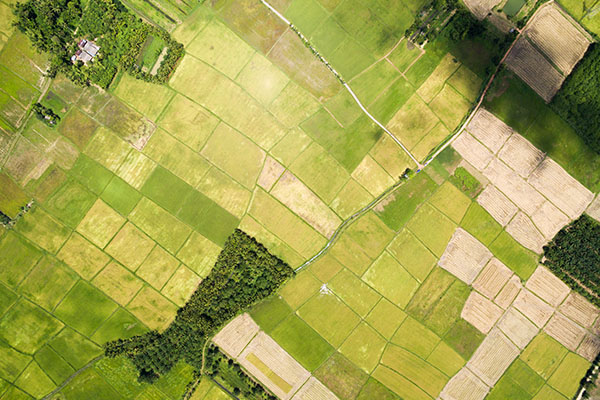 What Makes Land Agricultural for Taxes in Wisconsin? - Anderson O 