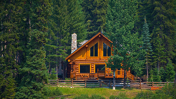 Family Cabin LLCs