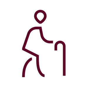 Stevens Point Elder Law & Guardianships Attorney Icon